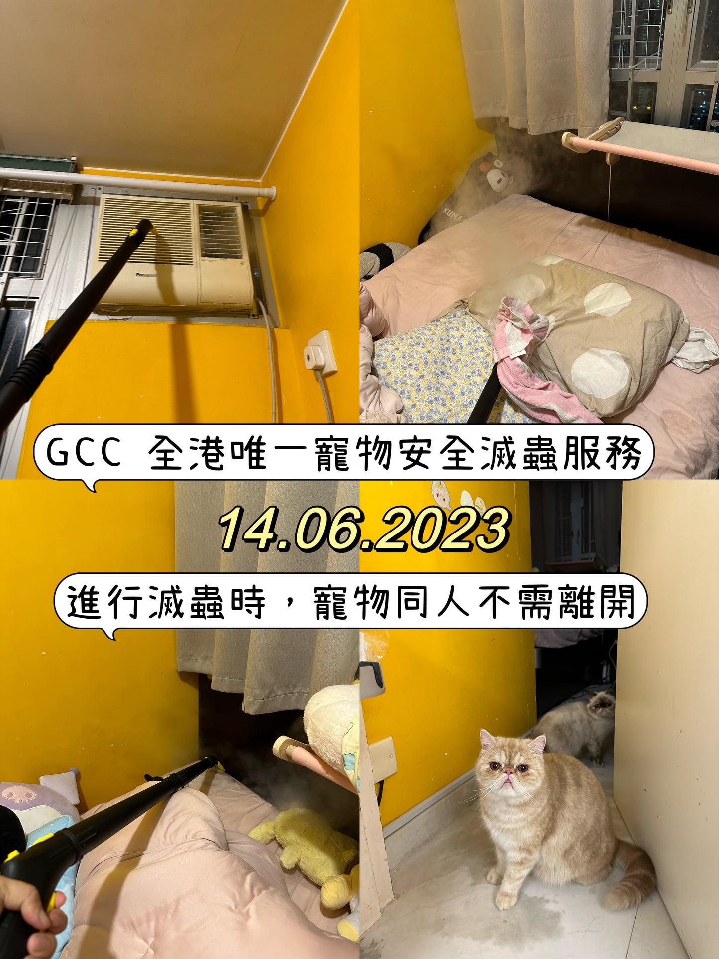 GCC 100%寵物安全家居滅蟲服務(香港)