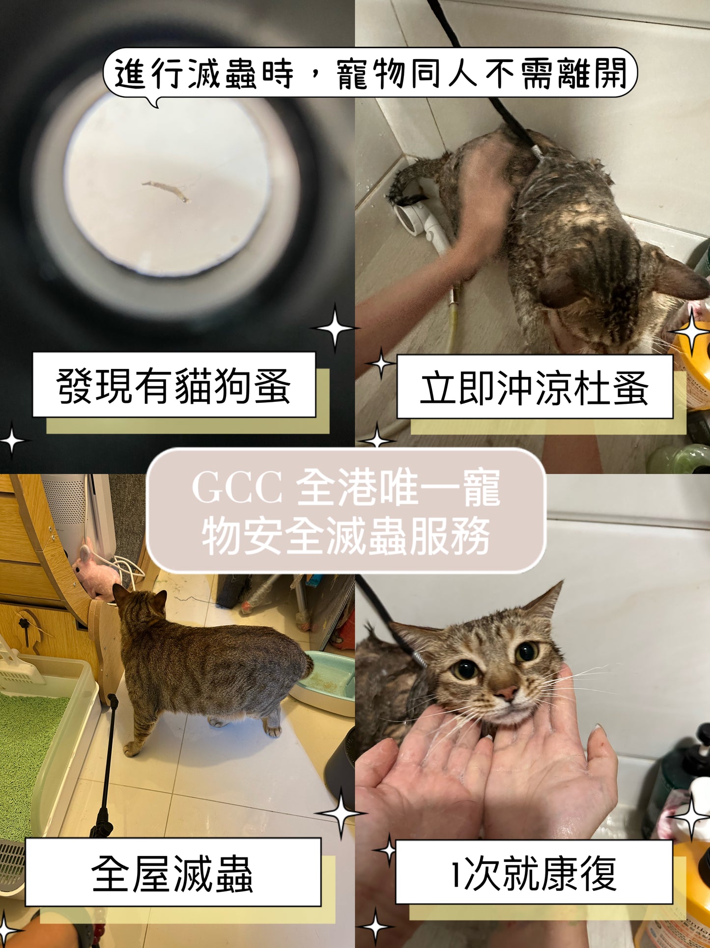 GCC Professional Pet Safety Pest Control