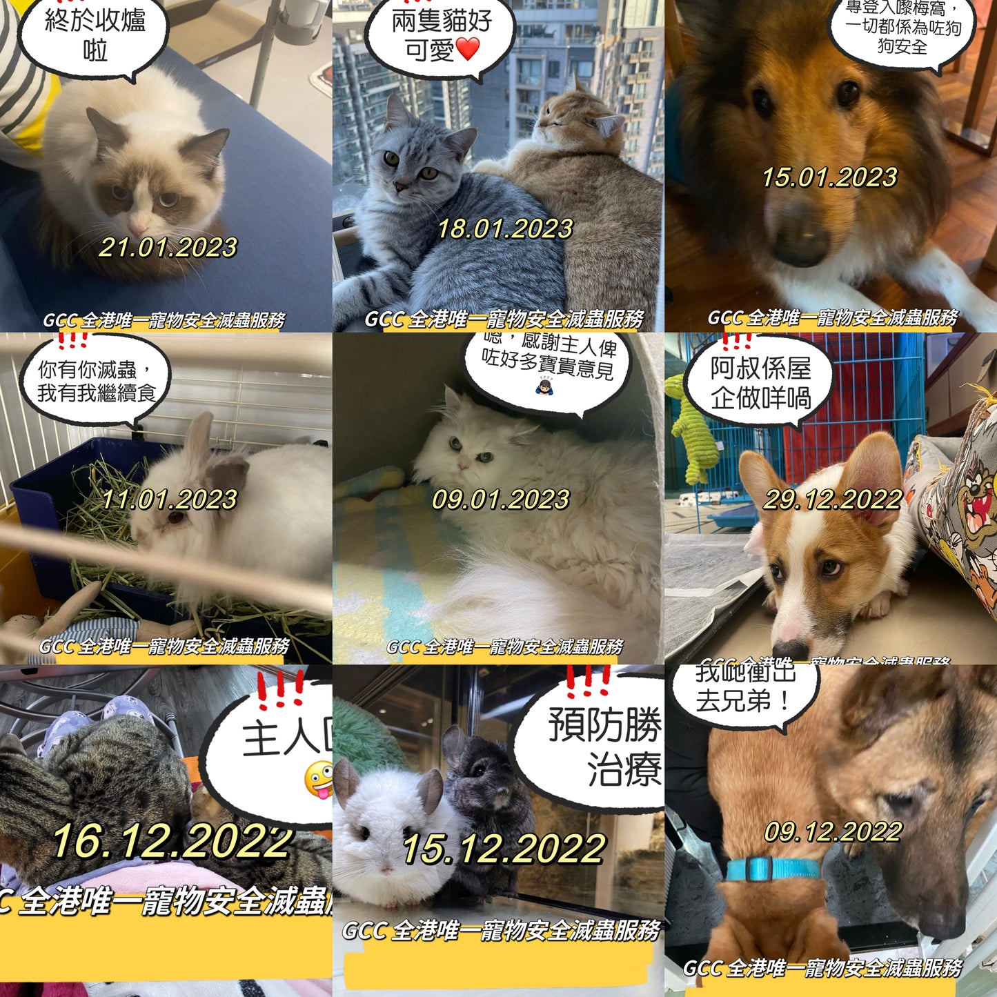GCC Professional Pet Safety Pest Control