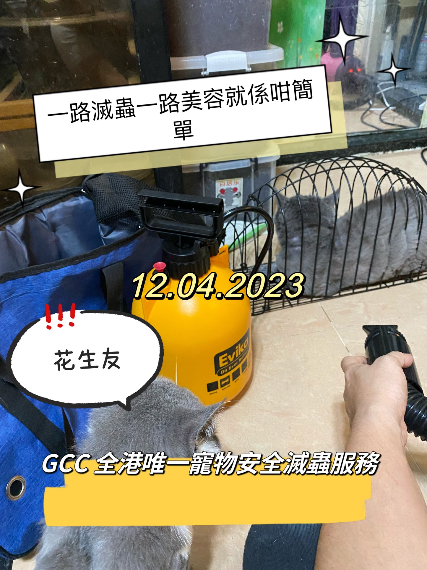 GCC 100%寵物安全家居滅蟲服務(香港)