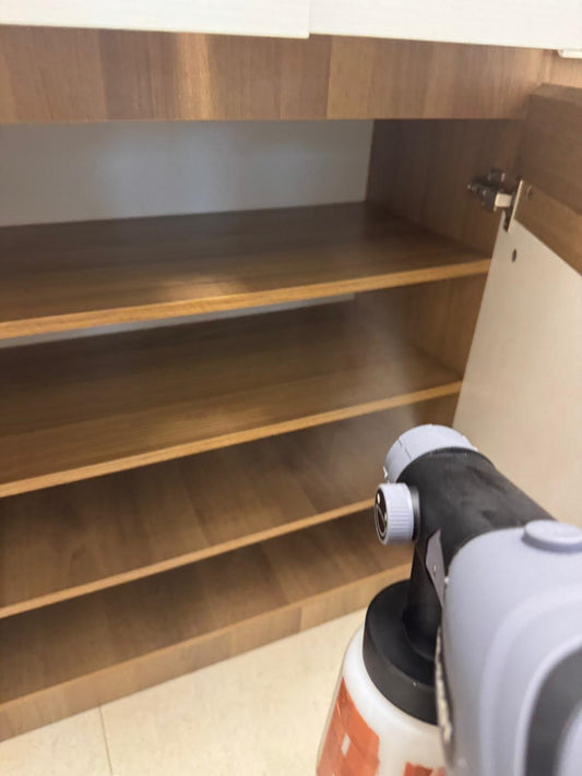 Pet-safe formaldehyde removal service