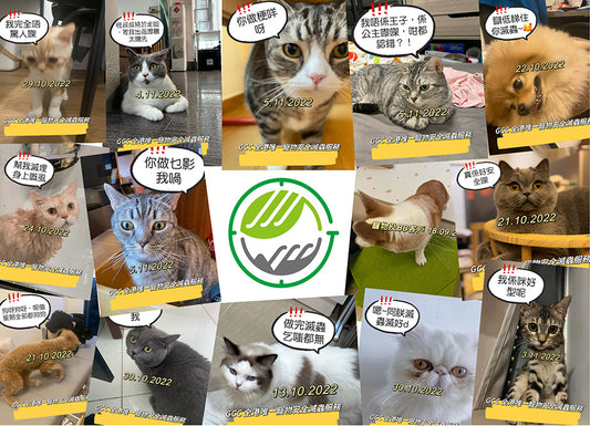 Pet Home Pest Control Plan (VIP)