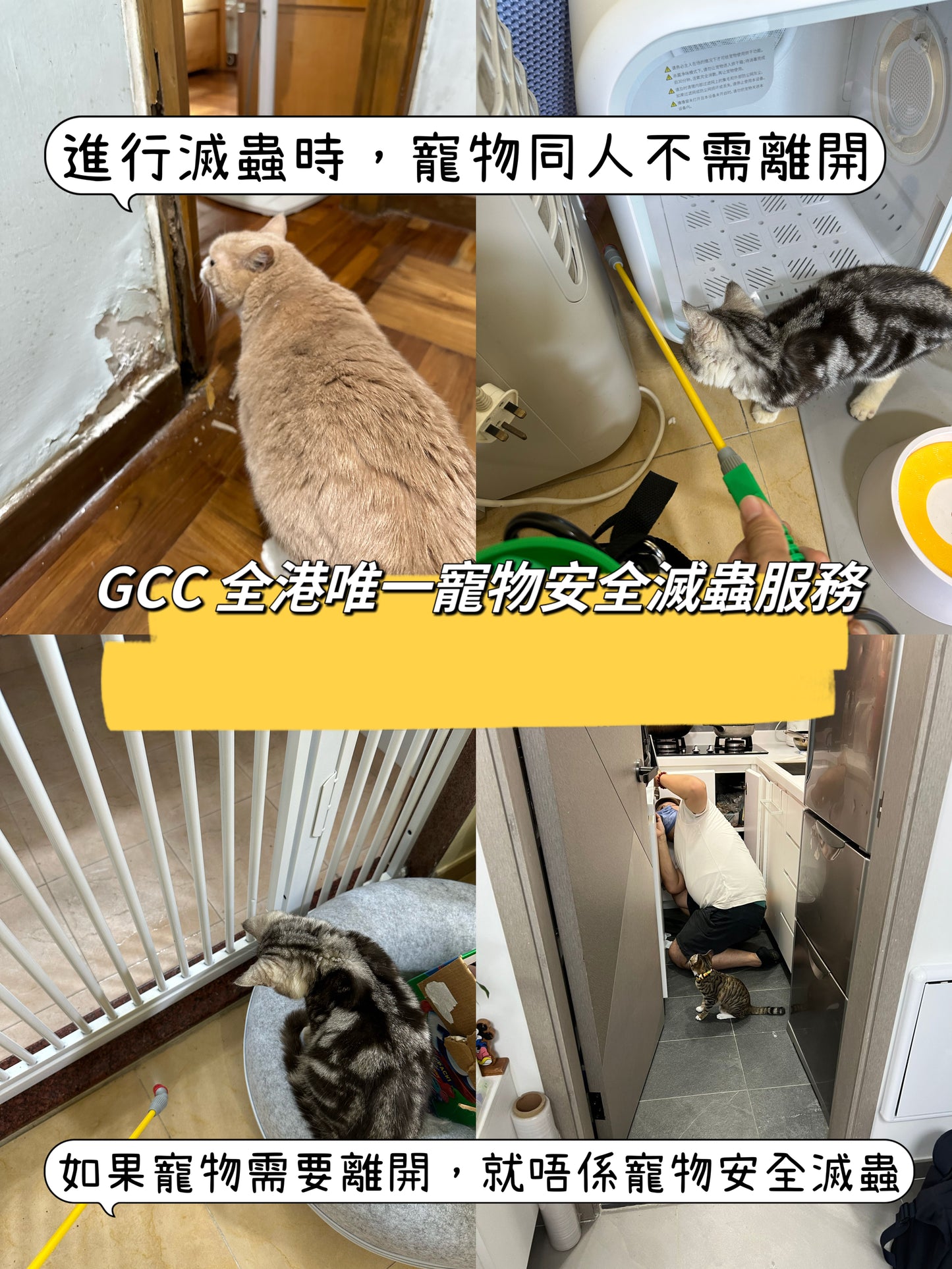 GCC 100%寵物安全家居滅蟲服務(香港)