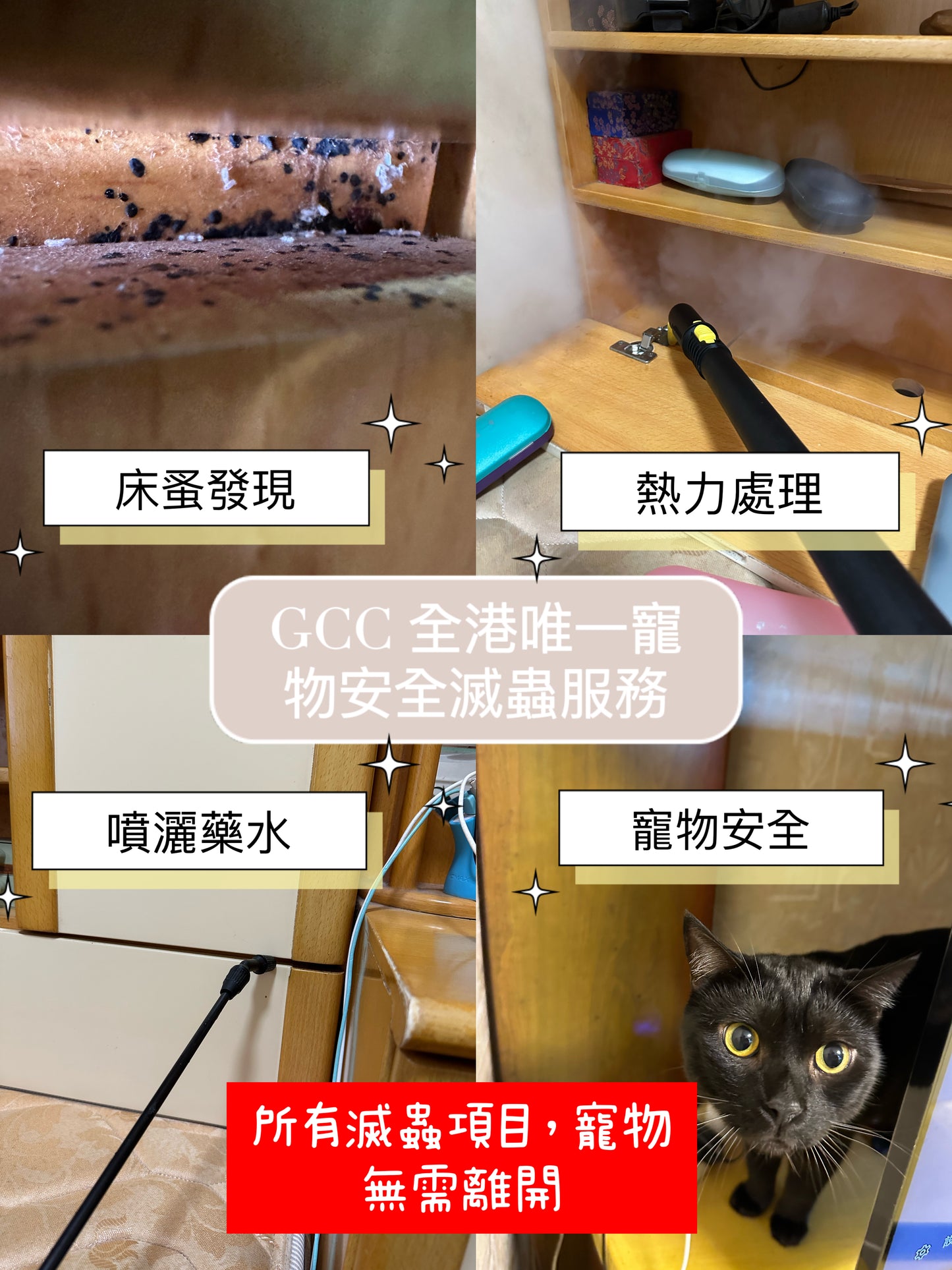GCC 100%寵物安全家居滅蟲服務(香港)
