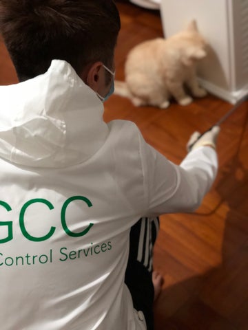 GCC寵物家居滅蟲服務組合 - GCC